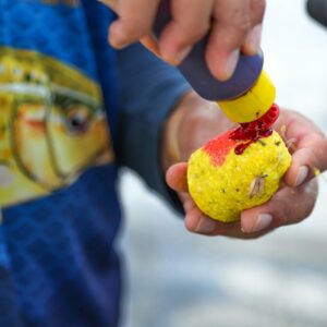 Baits and Dips